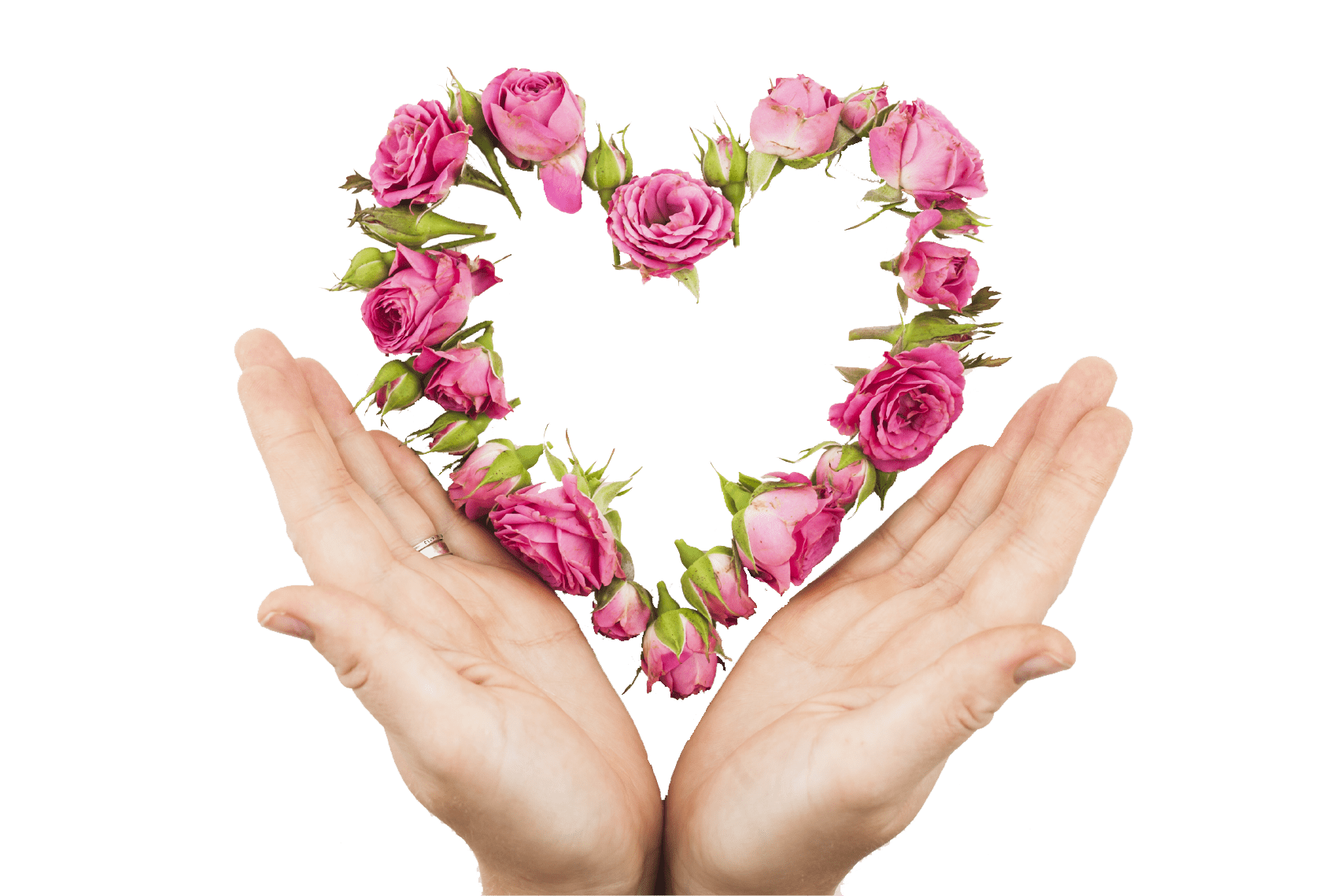 جشن روز زن و سپندارمذگان بهترین دیدار